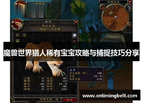 魔兽世界猎人稀有宝宝攻略与捕捉技巧分享